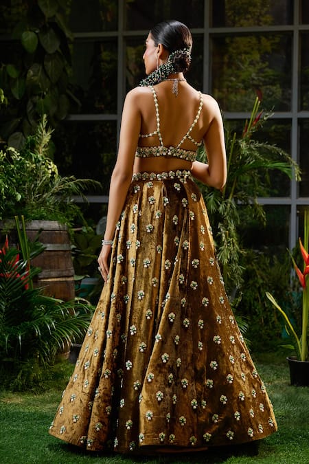 Payal & Zinal Pearl Ambrosia Motif Embellished Lehenga With Blouse 