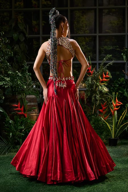 Payal & Zinal Fit & Flare Mermaid Skirt With Embellished Blouse 