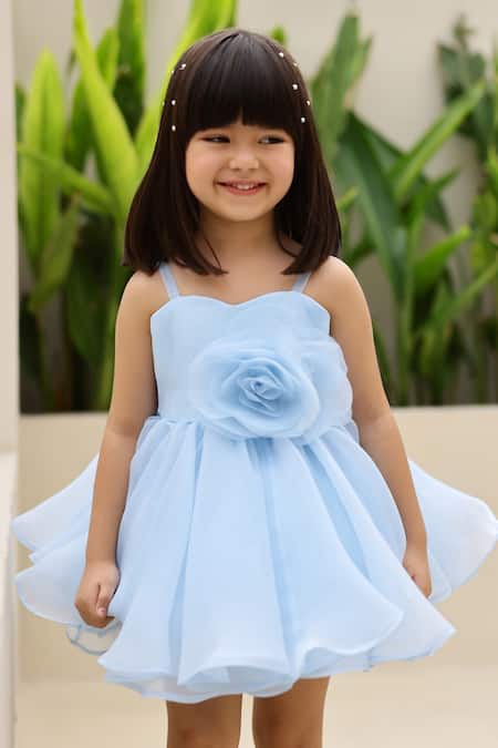 Janyas Closet_Blue Silk, Organza Fabric Elsa Rose Applique Embellished Dress And Overskirt Set _Online_at_Aza_Fashions