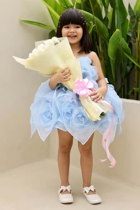 Janyas Closet_Blue Silk, Organza Fabric Elsa Rose Applique Embellished Dress And Overskirt Set _at_Aza_Fashions