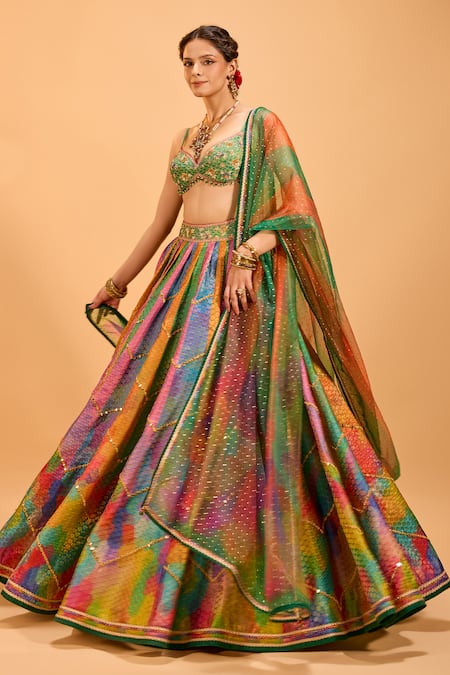 Cedar & Pine Multi Color Organza, Brocade Mirrors Sweetheart Panelled Embroidered Lehenga Set Online at Aza Fashions Cedar & Pine_Multi Color Organza, Brocade Mirrors Sweetheart Panelled Embroidered Lehenga Set _Online_at_Aza_Fashions