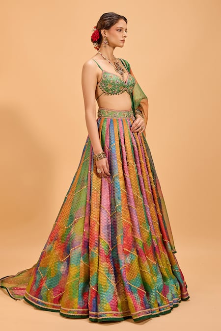 Cedar & Pine Multi Color Organza, Brocade Mirrors Sweetheart Panelled Embroidered Lehenga Set at Aza Fashions Cedar & Pine_Multi Color Organza, Brocade Mirrors Sweetheart Panelled Embroidered Lehenga Set _at_Aza_Fashions