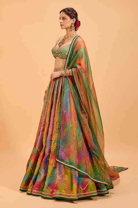 Buy Cedar & Pine Multi Color Organza, Brocade Mirrors Sweetheart Panelled Embroidered Lehenga Set Buy_Cedar & Pine_Multi Color Organza, Brocade Mirrors Sweetheart Panelled Embroidered Lehenga Set