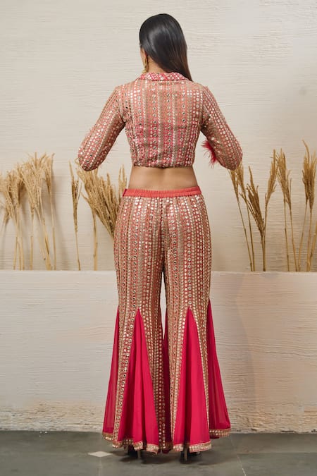 Akanksha Mago Embroidered Crop Top & Gharara Set 