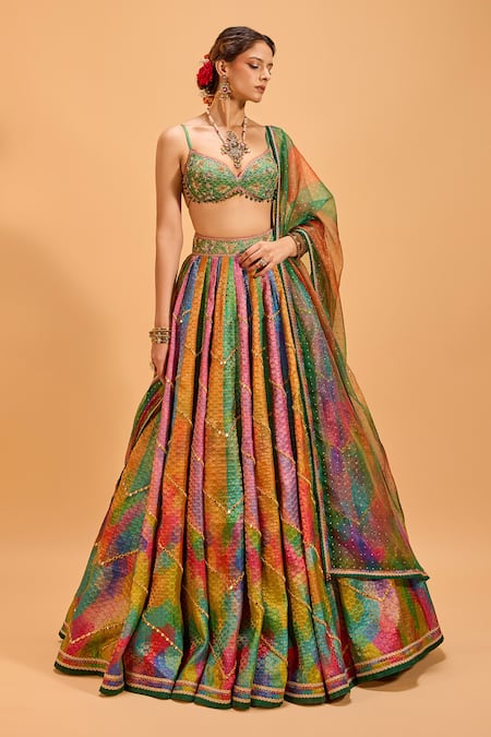 Cedar & Pine Panelled Embroidered Lehenga Set 