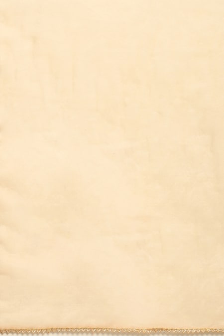 Buy_Ritu Kumar, Ri.Ritu Kumar, aarke Ritu Kumar_Gold Polyester, Viscose Lace Metallic Delphia Crushed Anarkali Pant Set