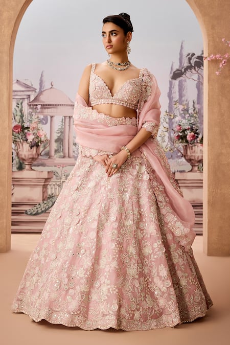 Aneesh Agarwaal Petunia Garden Embroidered Bridal Lehenga Set 