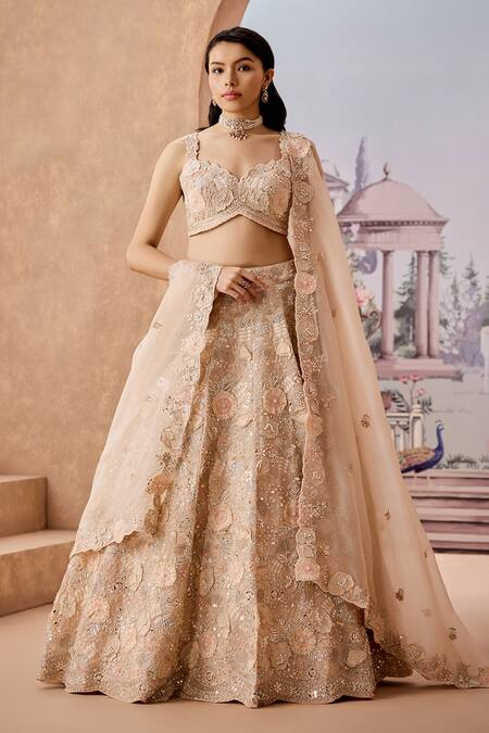 Aneesh Agarwaal_Peach Net, Silk Organza Cut Work, Sequins, Buttercup Flora Bridal Lehenga Set _Online_at_Aza_Fashions