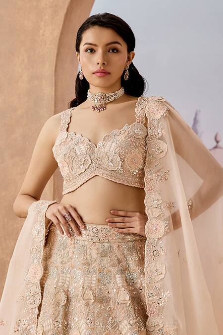Buy_Aneesh Agarwaal_Peach Net, Silk Organza Cut Work, Sequins, Buttercup Flora Bridal Lehenga Set _Online_at_Aza_Fashions