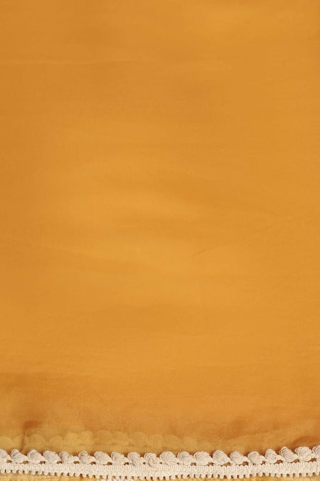 Two Sisters By Gyans_Beige Silk, Organza Embroidery Mandarin Collar Parsi Thread Work Kurta Set _Online_at_Aza_Fashions