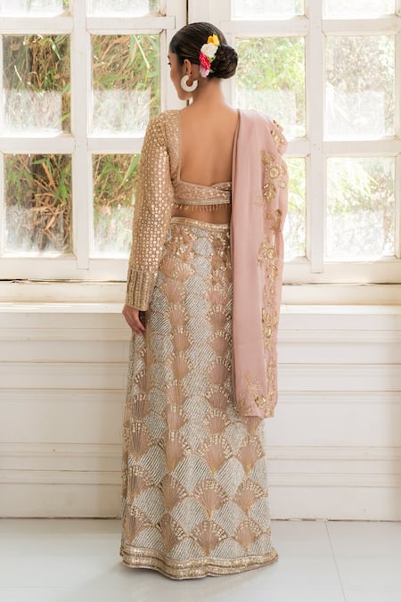 House Of Anmol Jain Rose Embroidered Draped Saree Set 