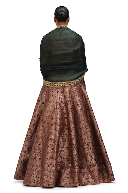 Mimamsaa Warhi Zameen & Alfi Motif Woven Brocade Lehenga Set 