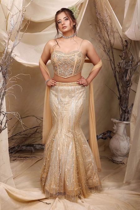 Lasha Astron Dust Embroidered Lehenga Set 