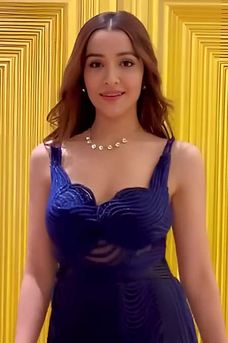 Mireya Sanya Stripe Cutdana Embroidered Dress 