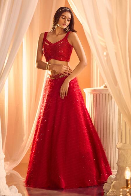 Aariyana Couture Feather Lehenga & Embellished Blouse Set 