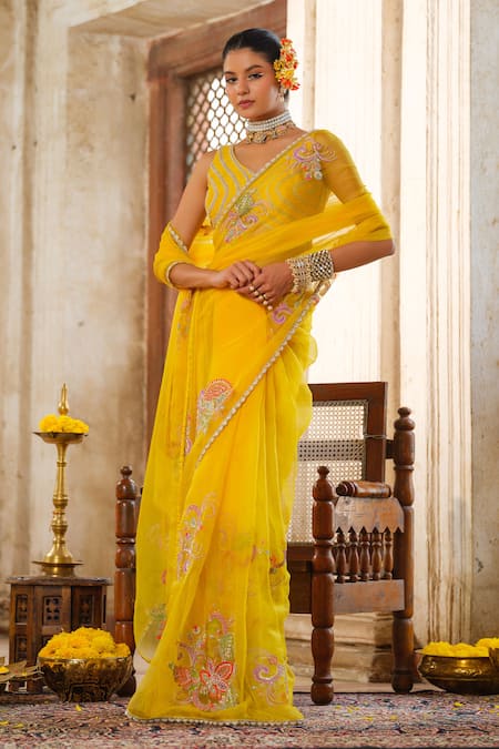 Anu Pellakuru Gulshan Embroidered Saree Set 