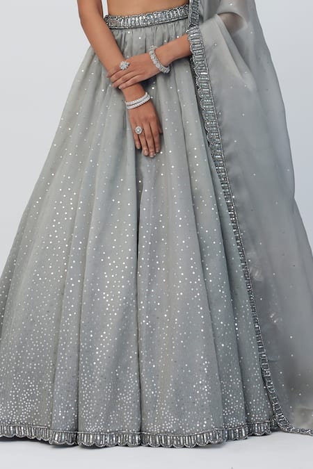 Vvani By Vani Vats_Silver Net, Georgette Sequins, Crystals Sweetheart Neck Embellished Lehenga Set _Online_at_Aza_Fashions