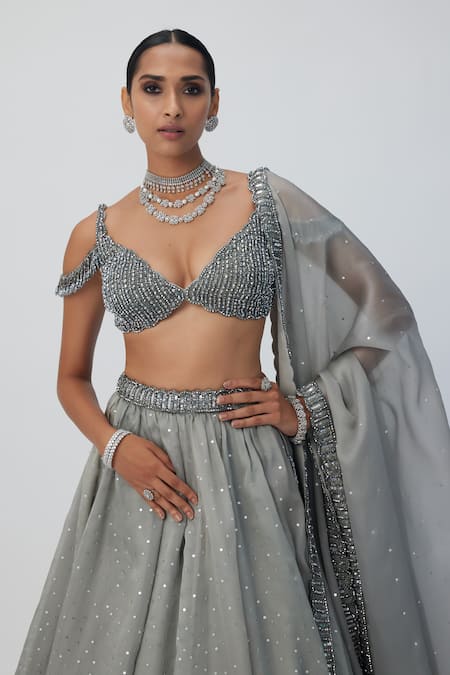 Vvani By Vani Vats_Silver Net, Georgette Sequins, Crystals Sweetheart Neck Embellished Lehenga Set _at_Aza_Fashions