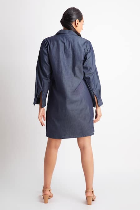 Richaa Goenka Sequin Sleeve Embroidered Dress 