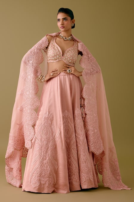 Devnaagri Acanthus Blossom Embroidered Lehenga Set 