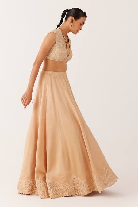 Devnaagri_Beige Organza, Satin Diamonds, Embroidery Florence Dori Lehenga Set _Online_at_Aza_Fashions