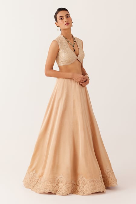 Buy_Devnaagri_Beige Organza, Satin Diamonds, Embroidery Florence Dori Lehenga Set _Online_at_Aza_Fashions