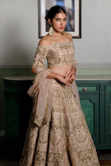 Buy Payal Singhal Pink Organza, Silk Cut Work, Pearls Aida Zari Embroidered Foliage Lehenga Set Online at Aza Fashions Buy_Payal Singhal_Pink Organza, Silk Cut Work, Pearls Aida Zari Embroidered Foliage Lehenga Set _Online_at_Aza_Fashions