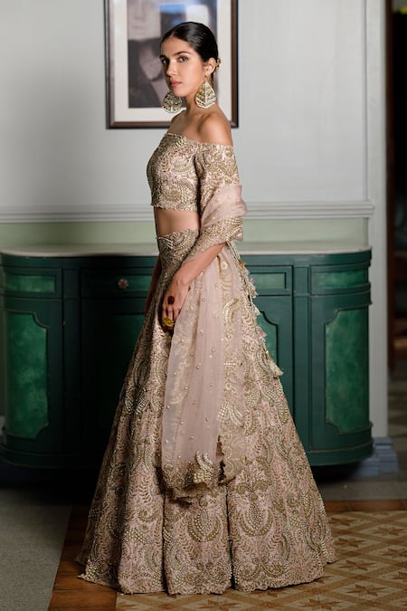 Shop Payal Singhal Pink Organza, Silk Cut Work, Pearls Aida Zari Embroidered Foliage Lehenga Set Online at Aza Fashions Shop_Payal Singhal_Pink Organza, Silk Cut Work, Pearls Aida Zari Embroidered Foliage Lehenga Set _Online_at_Aza_Fashions