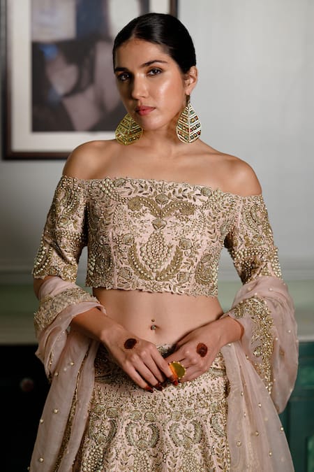 Payal Singhal Pink Organza, Silk Cut Work, Pearls Aida Zari Embroidered Foliage Lehenga Set at Aza Fashions Payal Singhal_Pink Organza, Silk Cut Work, Pearls Aida Zari Embroidered Foliage Lehenga Set _at_Aza_Fashions