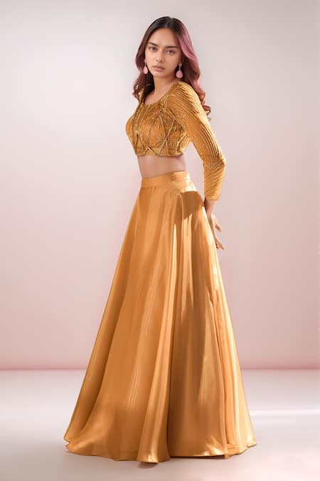 Samyukta Singhania Embroidered Circular Lehenga Set 