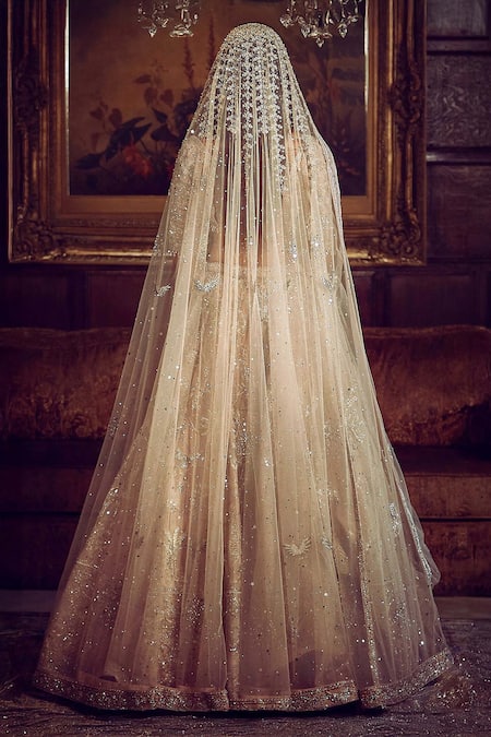 Matsya The Udaibagh Dori Embroidered Bridal Lehenga Set 