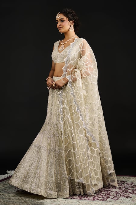 Buy_Reeti Arneja_Silver Organza, Net Sequins, Cut Work Safiya Phool Mahal Embroidered Lehenga Set _Online_at_Aza_Fashions