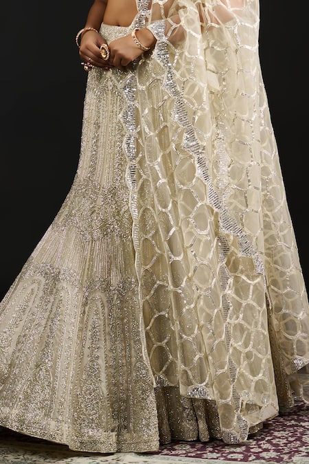 Shop_Reeti Arneja_Silver Organza, Net Sequins, Cut Work Safiya Phool Mahal Embroidered Lehenga Set _Online_at_Aza_Fashions