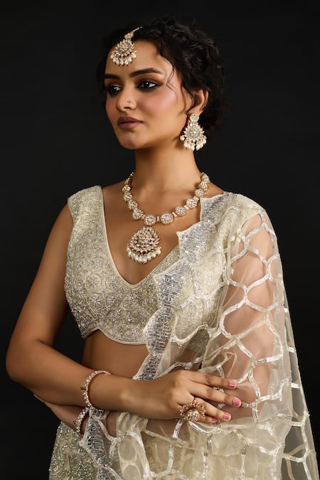 Reeti Arneja_Silver Organza, Net Sequins, Cut Work Safiya Phool Mahal Embroidered Lehenga Set _at_Aza_Fashions