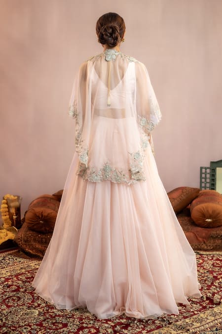 Aanchal Vijaywargi Tara Embroidered Cape & Skirt Set 