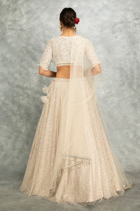 Shop_Tanu Malhotra_Ivory Net Sequins, Tassels, Embroidery V-neck Pleated Lehenga Set _at_Aza_Fashions