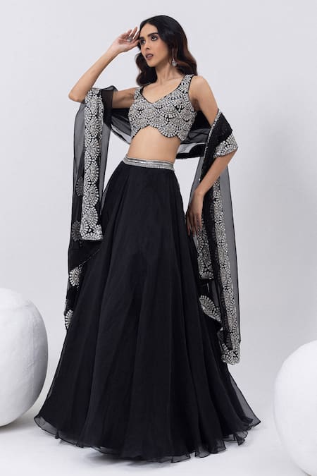 Shop_Mehak Sharma_Black Organza Cut Work, Zari, Stones, Embroidery, Sequins Lehenga Blouse Set _Online_at_Aza_Fashions