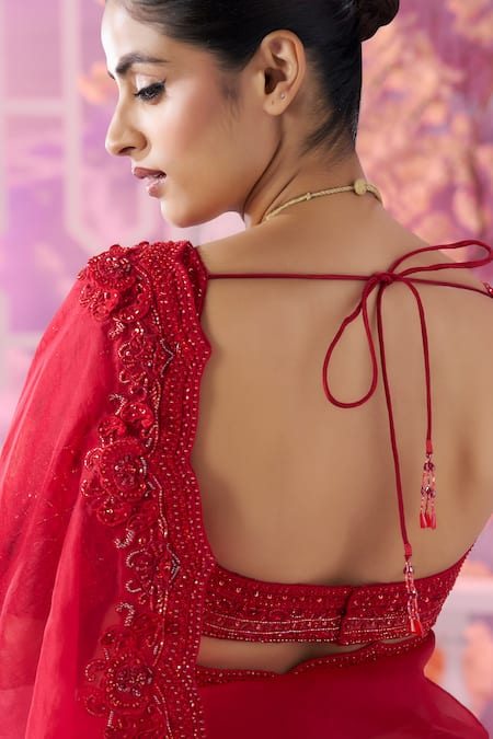 Label Ankush Jain 3D Gulbahar Embroidered Saree Set 