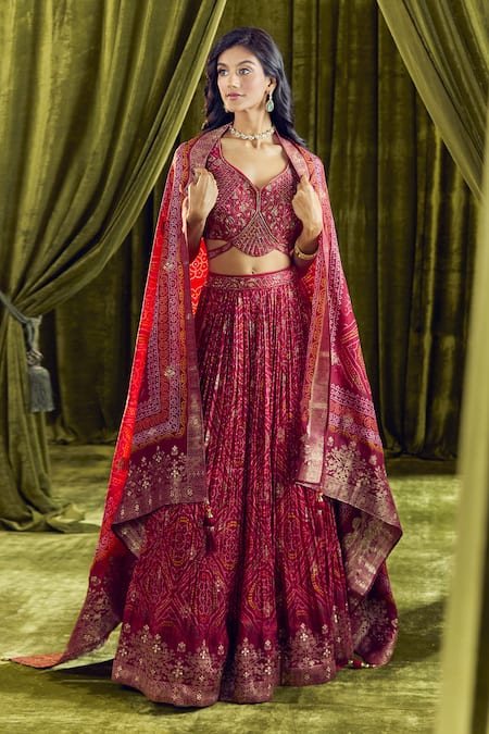 Alaya Advani Red Lehenga And Blouse Silk Hand Work Floral Plunged Leaf Bandhani Pattern Set 