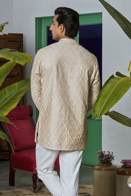 Philocaly Beige Chanderi Embroidered Short Kurta 