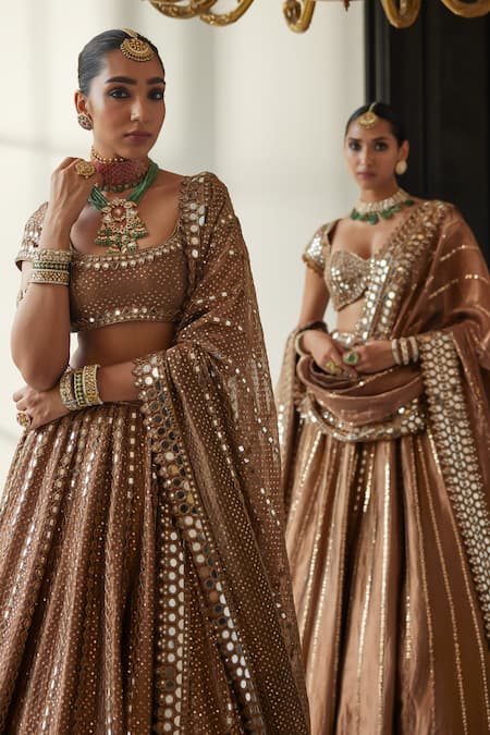 Shop_Vvani By Vani Vats_Brown Organza, Silk Crystals, Cut Work, Mirrors, Sequins, Cutdana Lehenga Set 