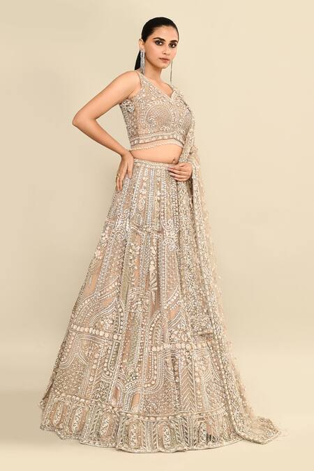 Buy_Kalighata_Gold Organza Embroidery, Tassels, Sequins V-neck Bridal Lehenga Set 