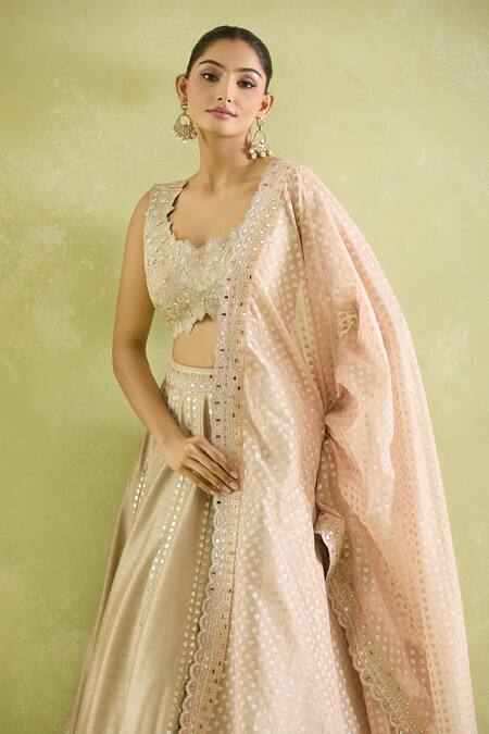 SUHINO_Beige Silk, Organza Zari, Mirrors, Embroidery Choker Bloom Vine Lehenga Set _Online_at_Aza_Fashions