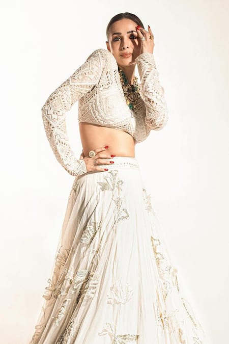Ritika Mirchandani_Ivory Net, Crepe, Georgette Applique, Embroidery V-neck Floral Lehenga Set _Online_at_Aza_Fashions