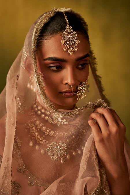 Manvi Kapoor_Pink Organza, Silk Zari, Embroidery Floral Zardozi Peplum Kurta Lehenga Set _Online_at_Aza_Fashions