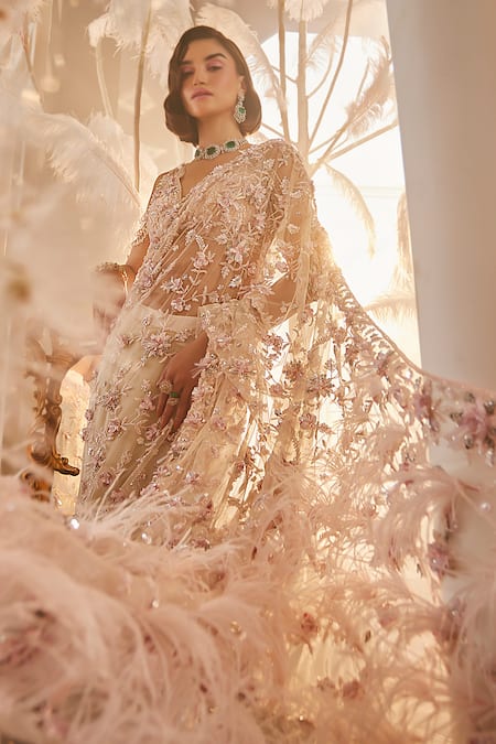 Swish By Dolcy And Simran 3D Rose Vine Embroidered Saree Set 