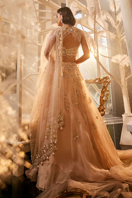 Swish By Dolcy And Simran Floral Scatter Embroidered Lehenga Set 