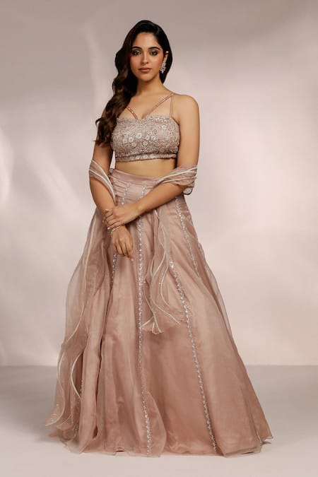 Label Moni K Pink Organza, Net Embroidery V-neck Aari Bloom Vine Lehenga Set 