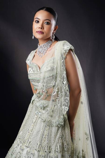 Ronak And Shruti_Green Organza Crystals, Sequins, Beads, Sage 3d Flower Applique Lehenga Set _at_Aza_Fashions