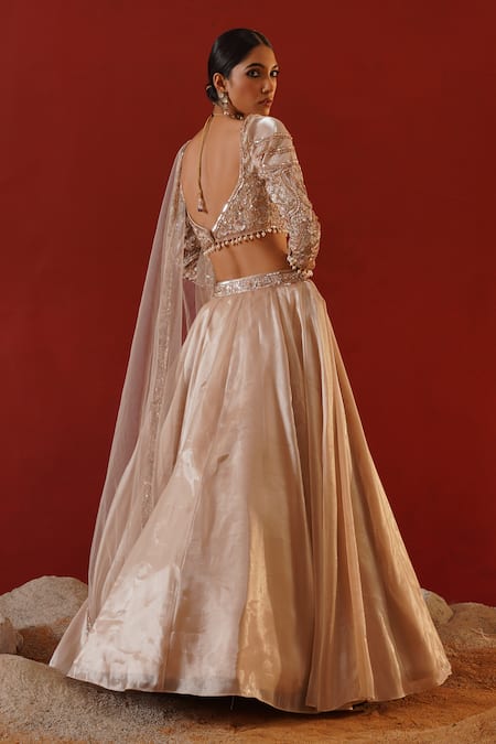 Kapda Dori_Beige Tissue, Net, Organza Pearls, Sequins, Embroidered Waistband Lehenga Set _Online_at_Aza_Fashions